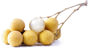 Longan