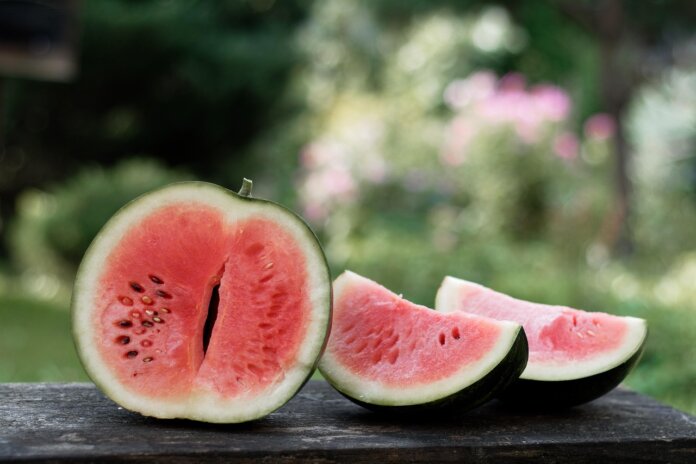 Melón