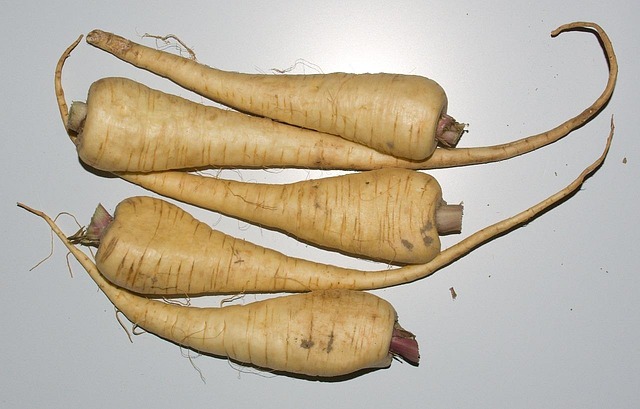Paštrnák