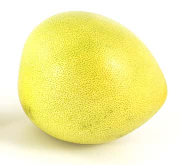 Pomelo