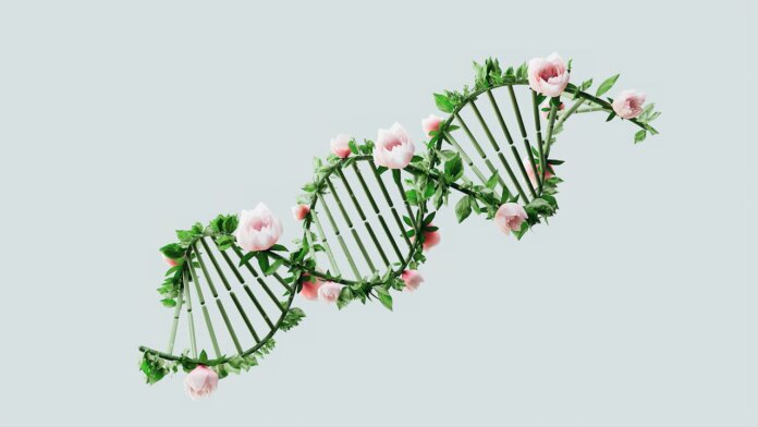 DNA. Onkologické vedomie