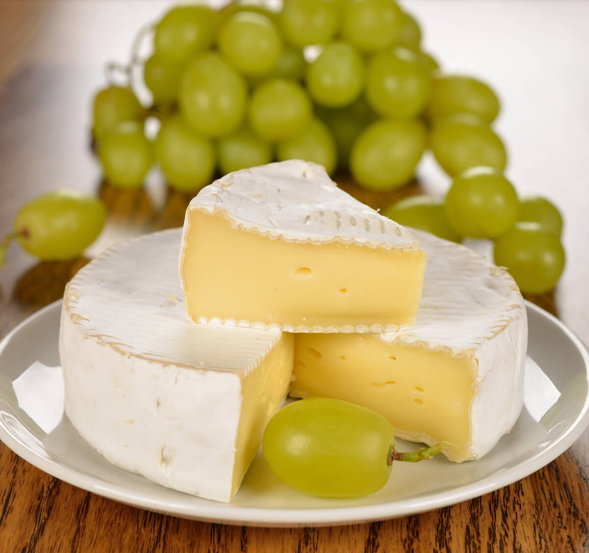 Plesňový syr