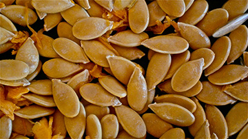 Tekvicové semená