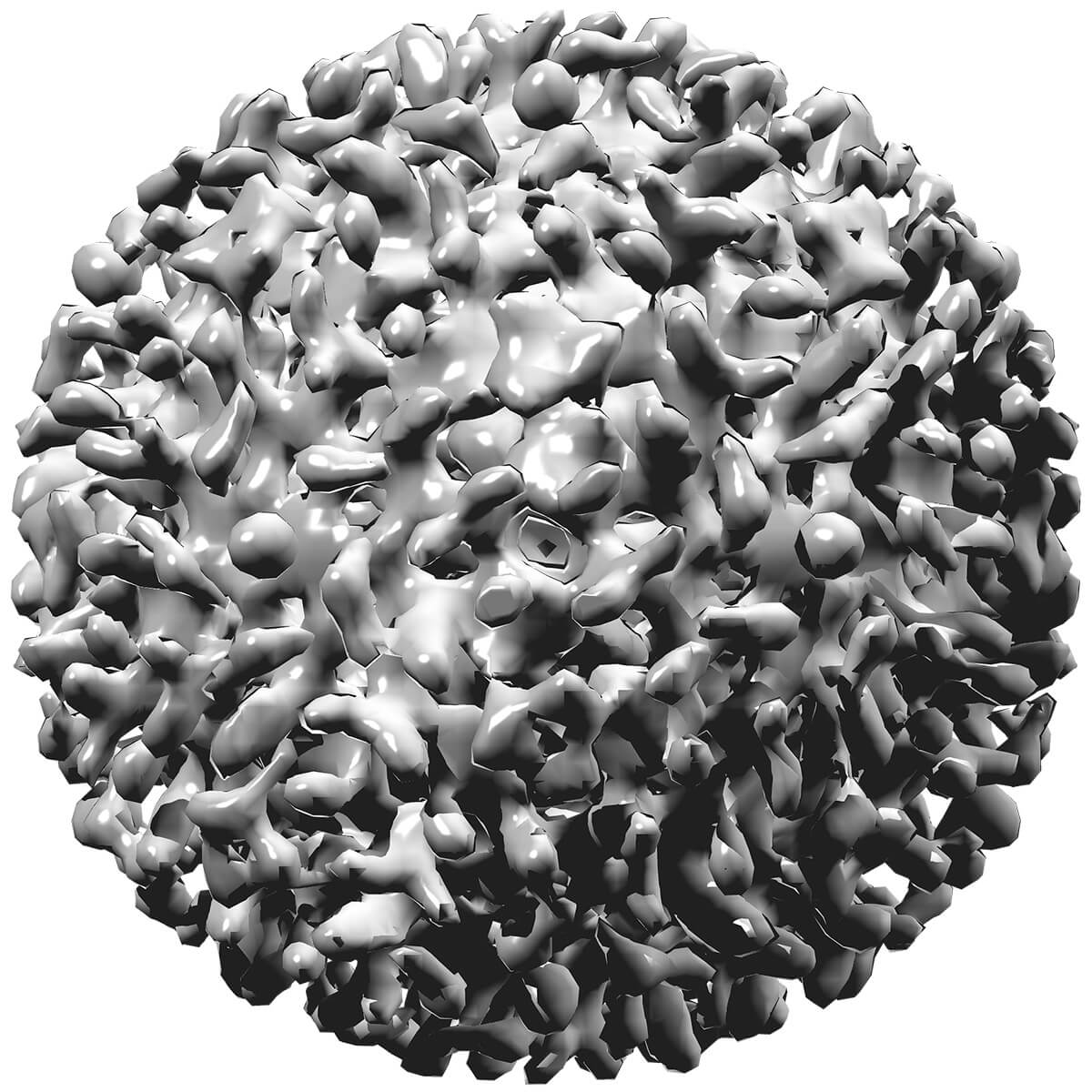 Vírus hepatitídy