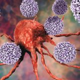 Lymfocyty – pomocníci našej imunity