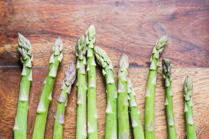 2147779180 (1) https://www.freepik.com/free-photo/fresh-green-asparagus-row_2042461.htm#fromView=search&page=1&position=35&uuid=e964ec82-b5d2-4dc3-9eb6-dead899184fd&query=Asparagus