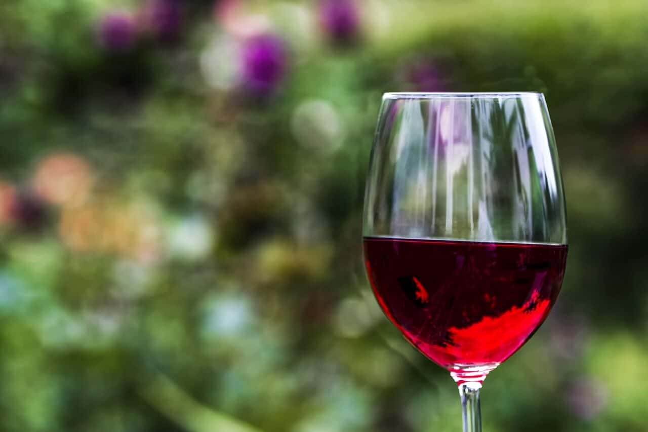 Resveratrol. Červené víno