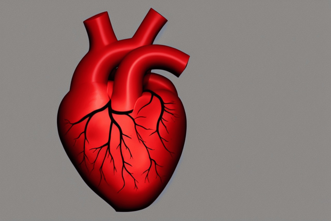 Srdce, choroby srdca