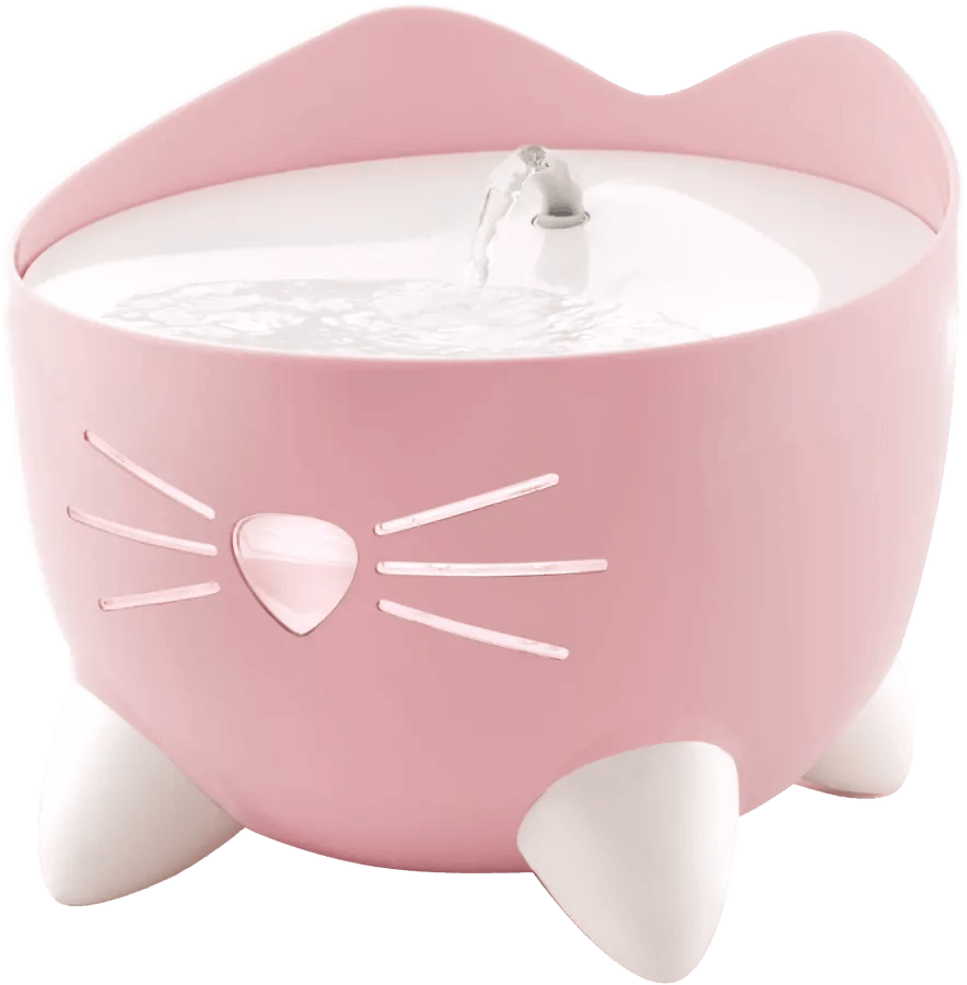 Super zoo. Fontánka