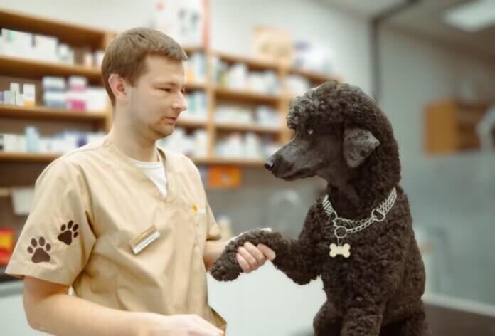 MVDr. Kryštof Doležal. Cukrovka