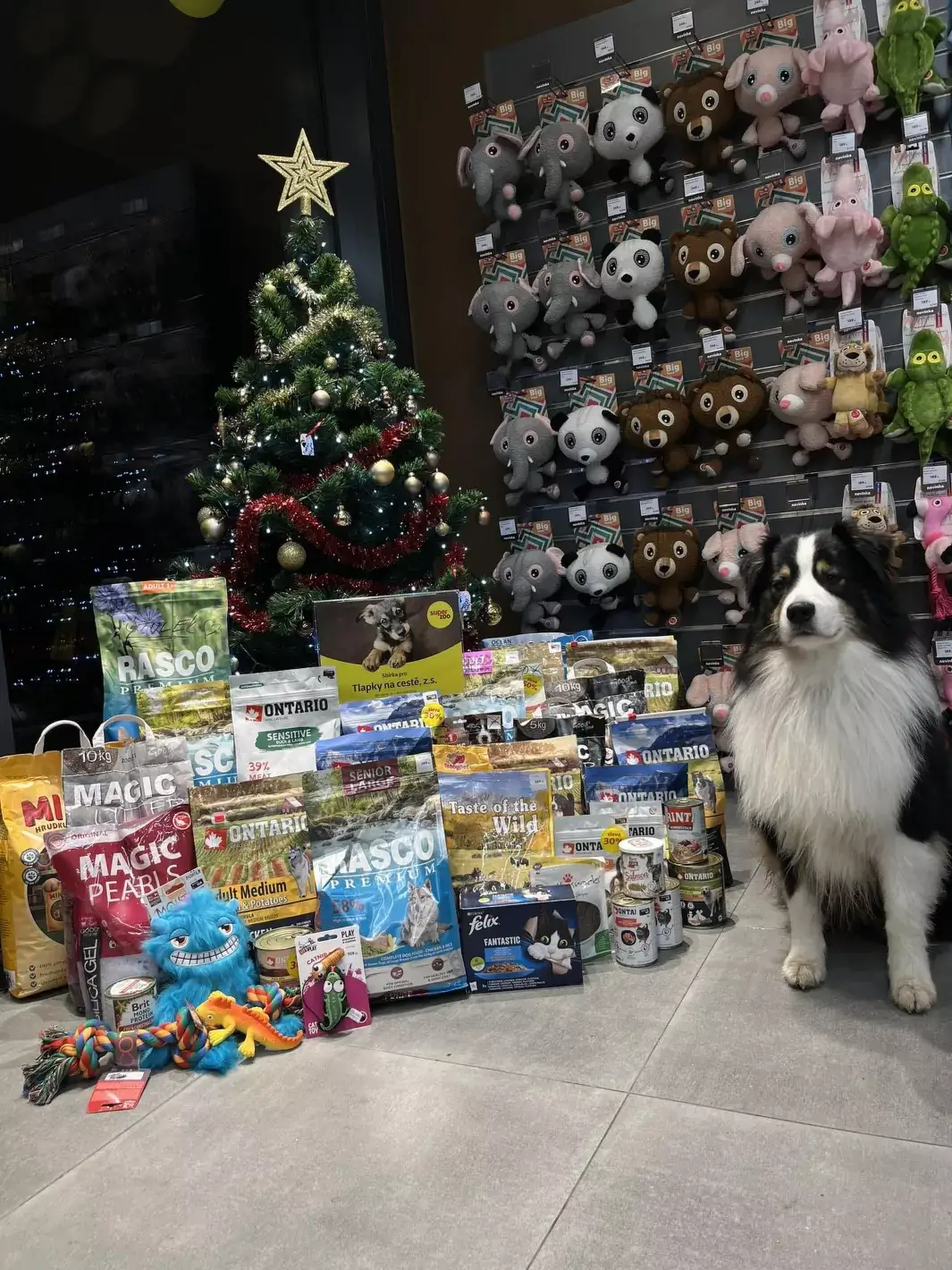 Vianočný stromček splnených želaní