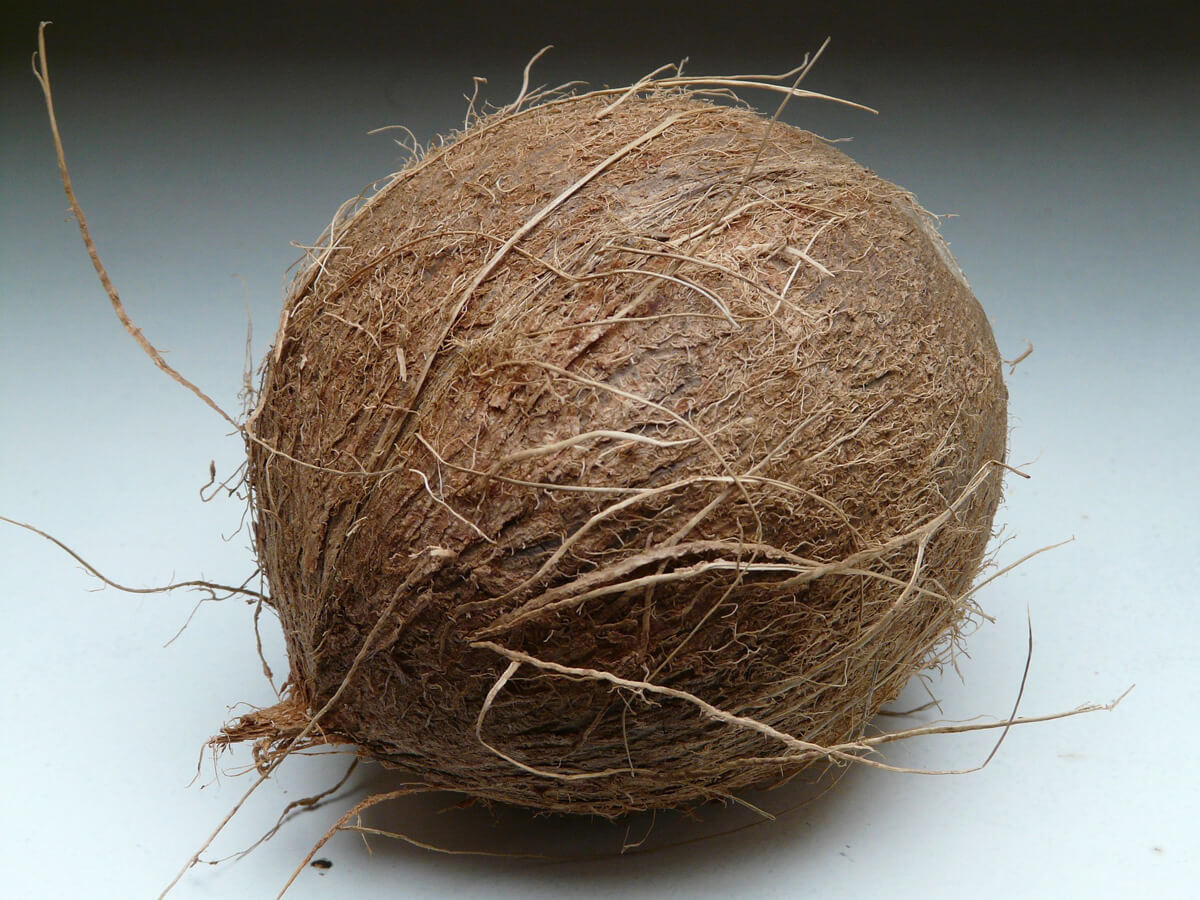 Kokosový orech